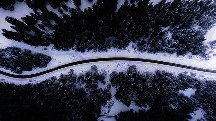 Bird eye’s view!, by Kimon Maritz